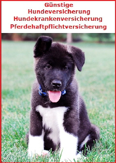 Hundehaftpflicht in Ihrer Stadt